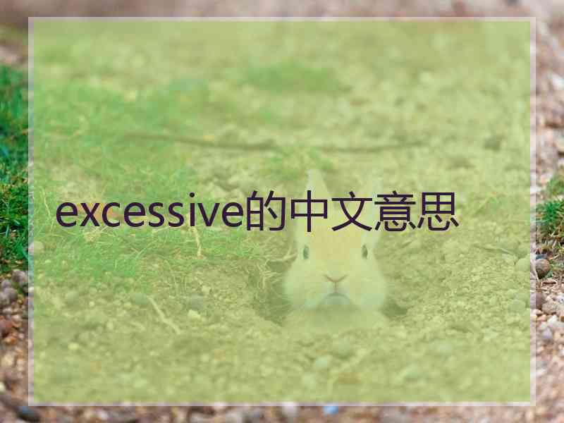 excessive的中文意思