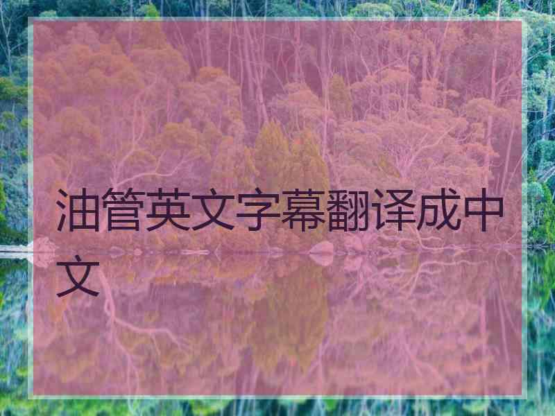 油管英文字幕翻译成中文