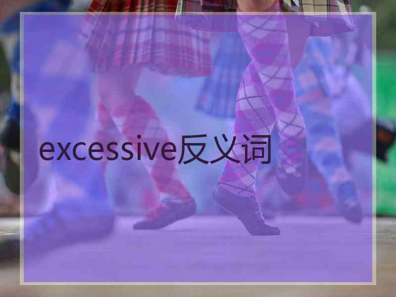 excessive反义词