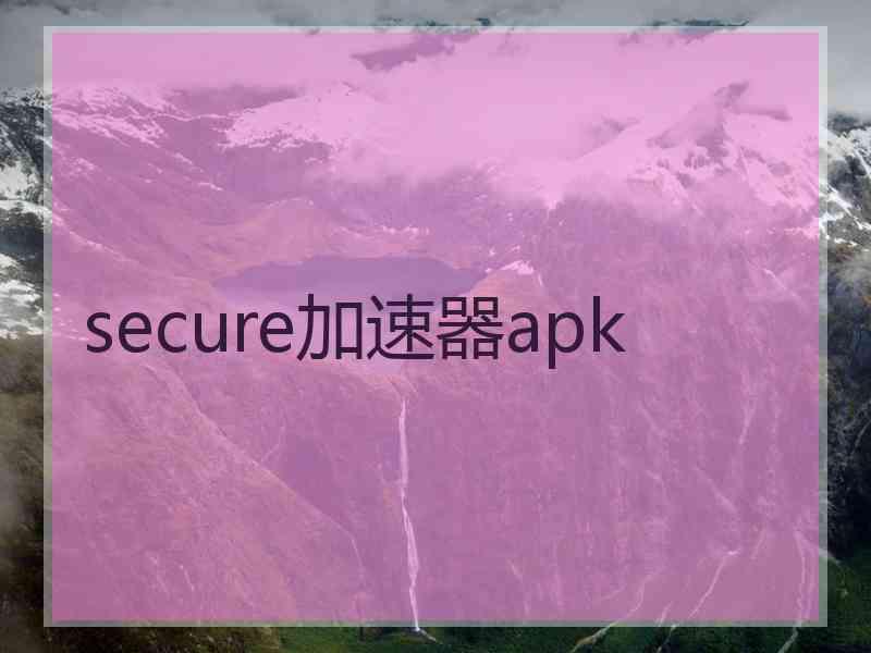 secure加速器apk