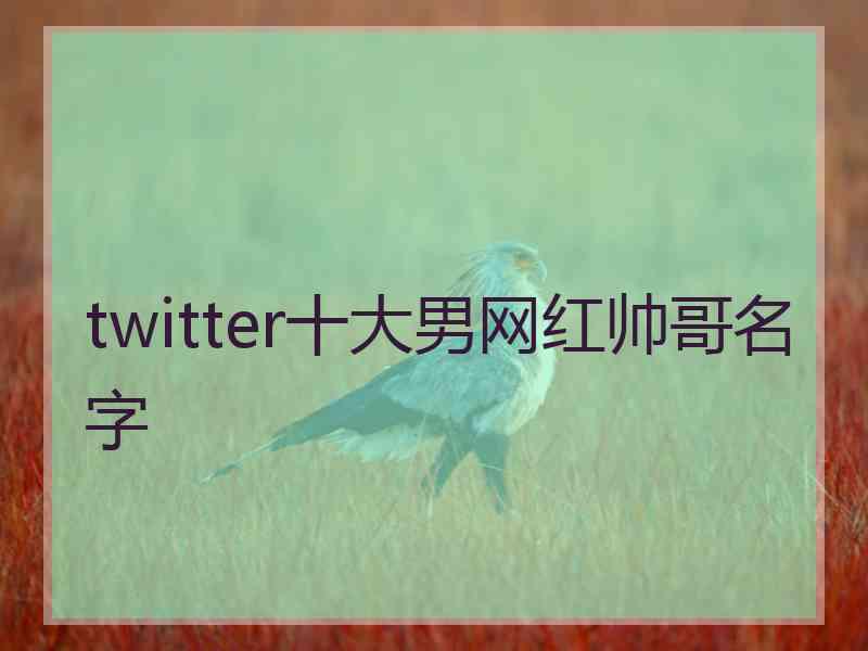 twitter十大男网红帅哥名字