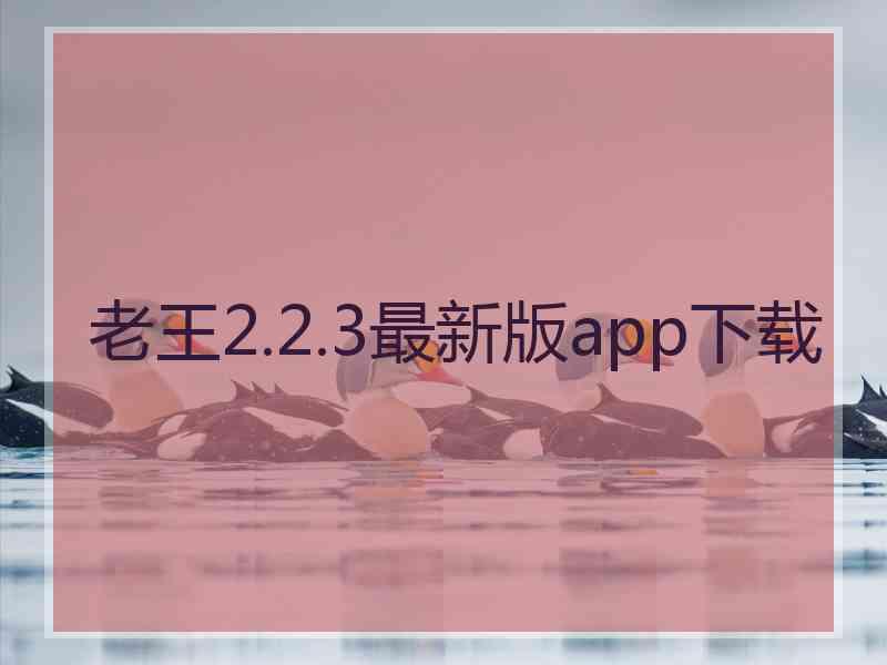 老王2.2.3最新版app下载