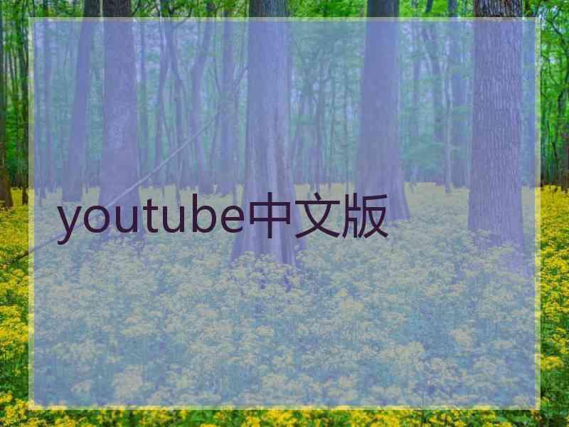 youtube中文版