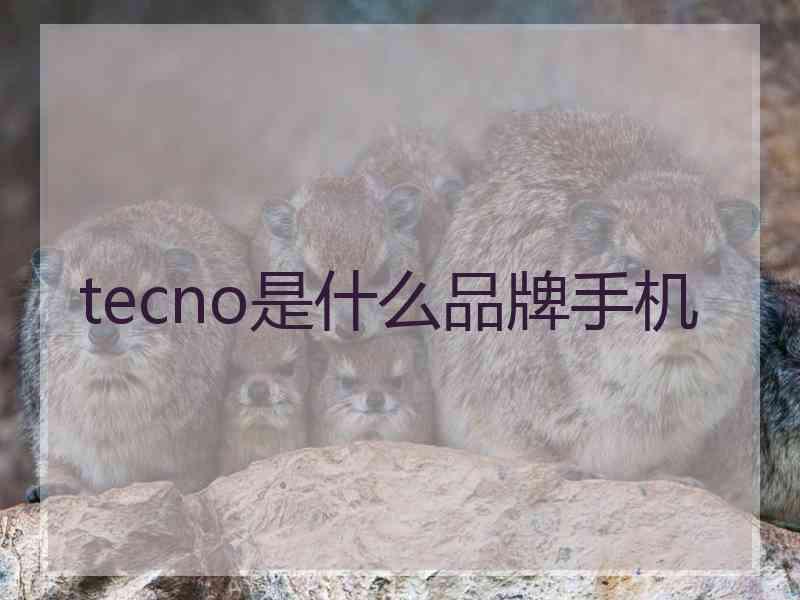 tecno是什么品牌手机