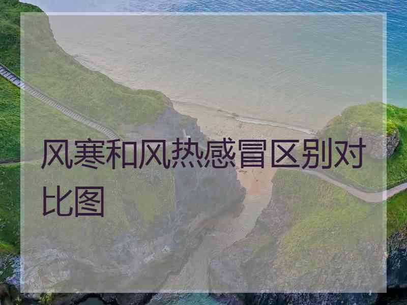 风寒和风热感冒区别对比图