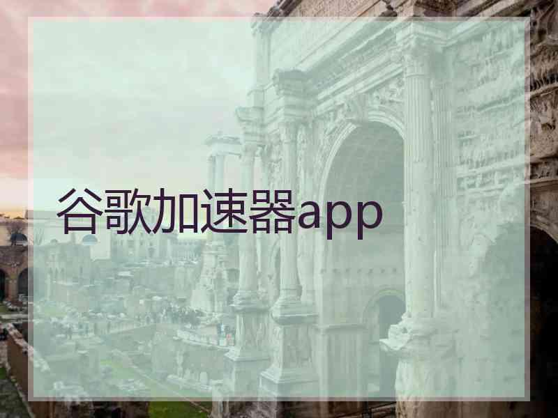 谷歌加速器app