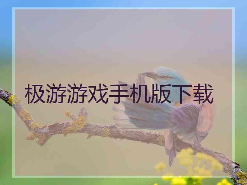 极游游戏手机版下载