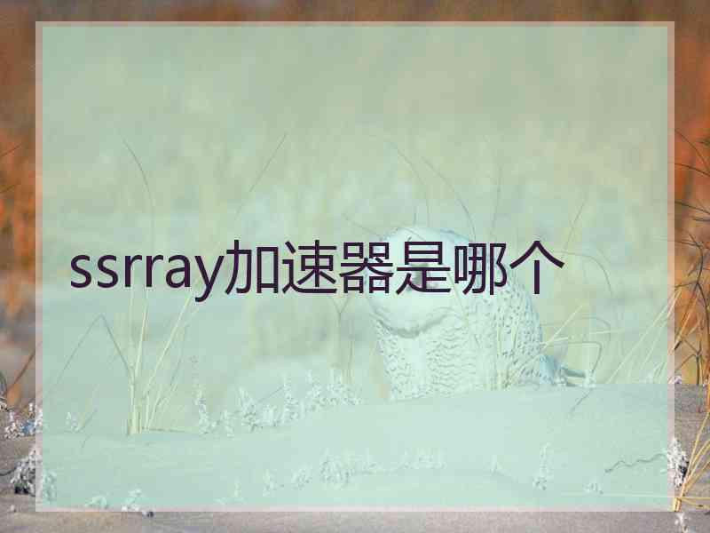 ssrray加速器是哪个