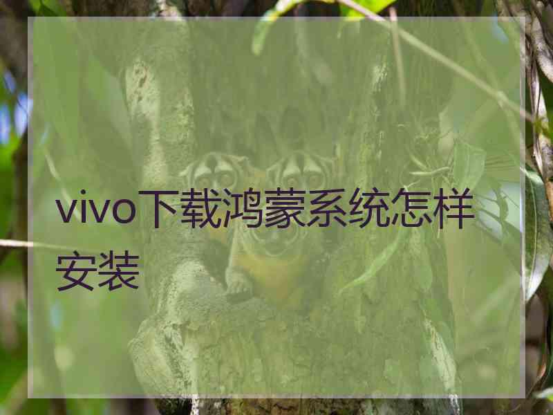 vivo下载鸿蒙系统怎样安装