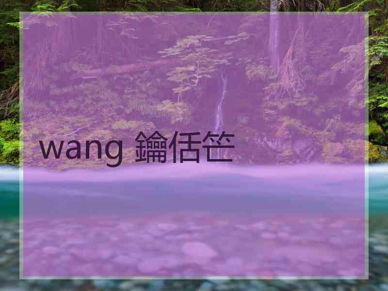 wang 鑰佸笀