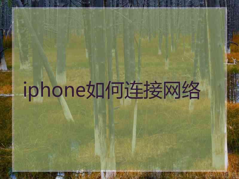 iphone如何连接网络