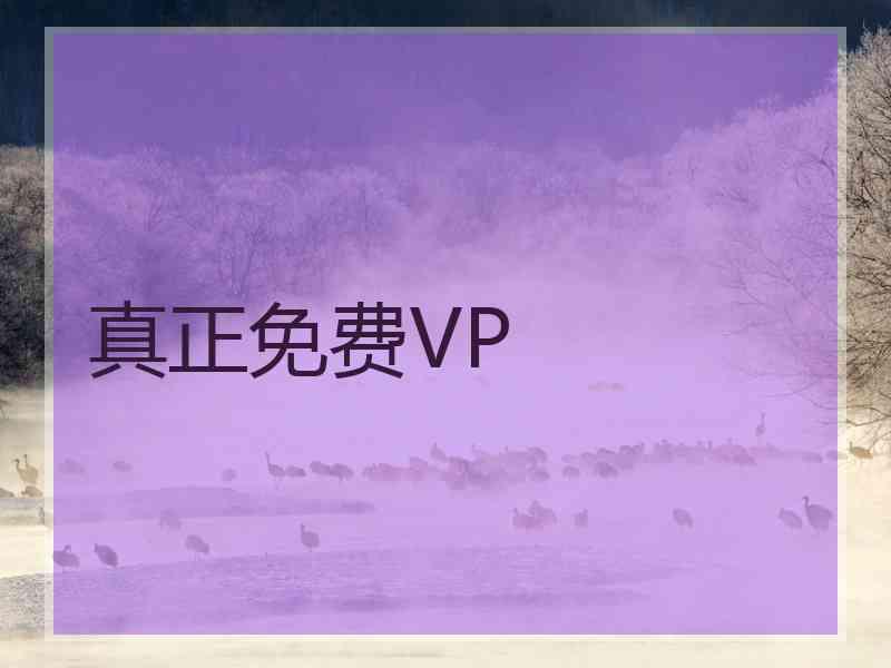 真正免费VP