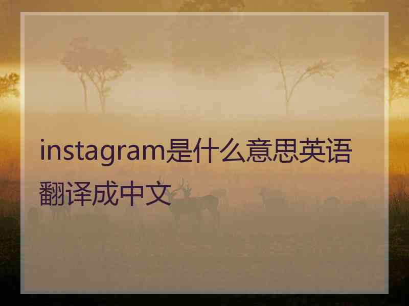 instagram是什么意思英语翻译成中文