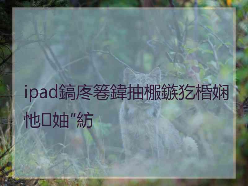 ipad鎬庝箞鍏抽棴鏃犵棔娴忚妯″紡