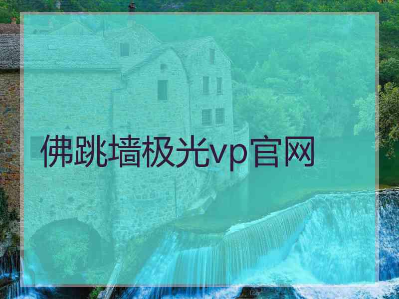 佛跳墙极光vp官网