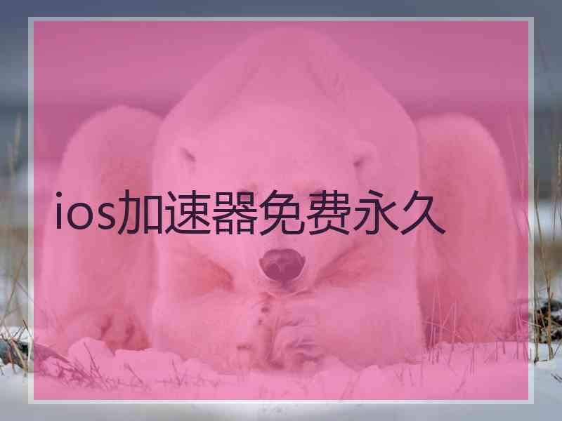 ios加速器免费永久