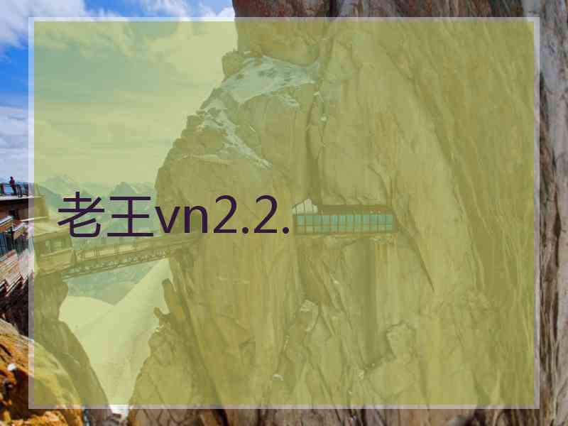 老王vn2.2.