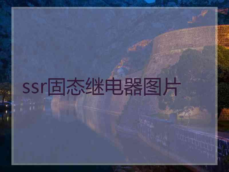 ssr固态继电器图片