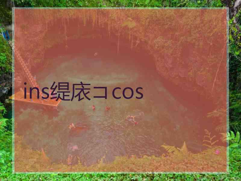 ins缇庡コcos