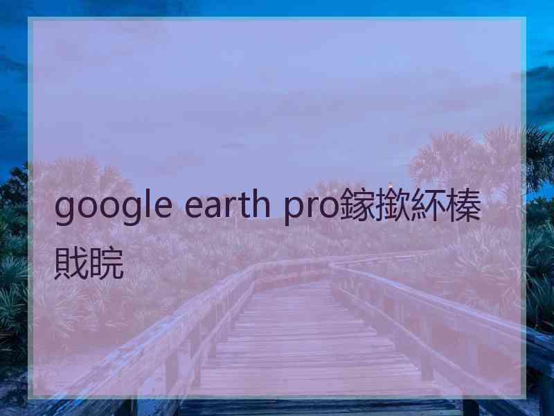 google earth pro鎵撳紑榛戝睆