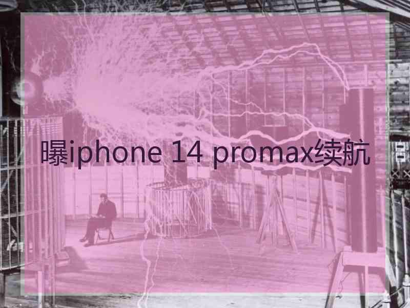 曝iphone 14 promax续航