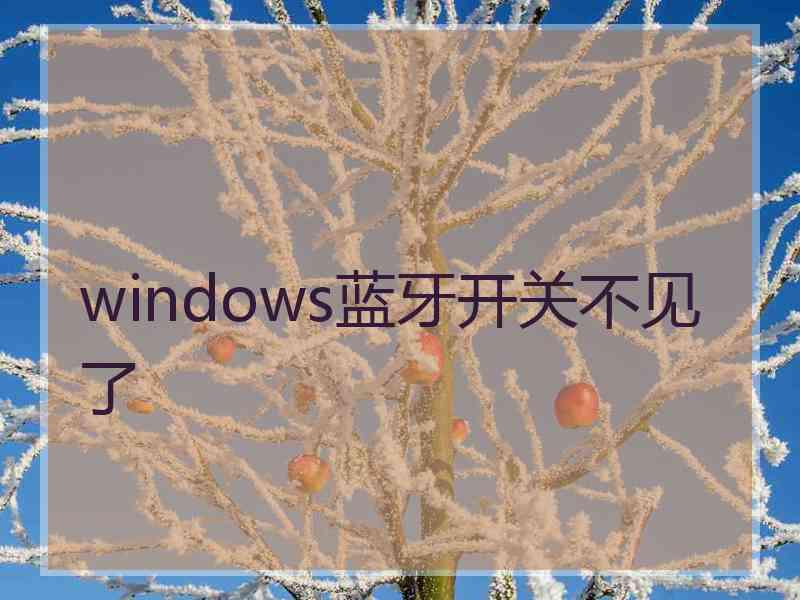 windows蓝牙开关不见了