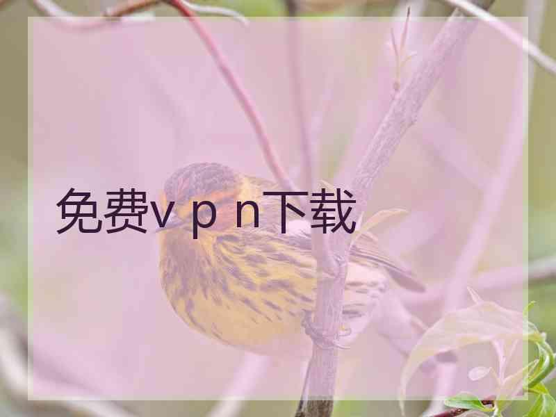 免费v p n下载