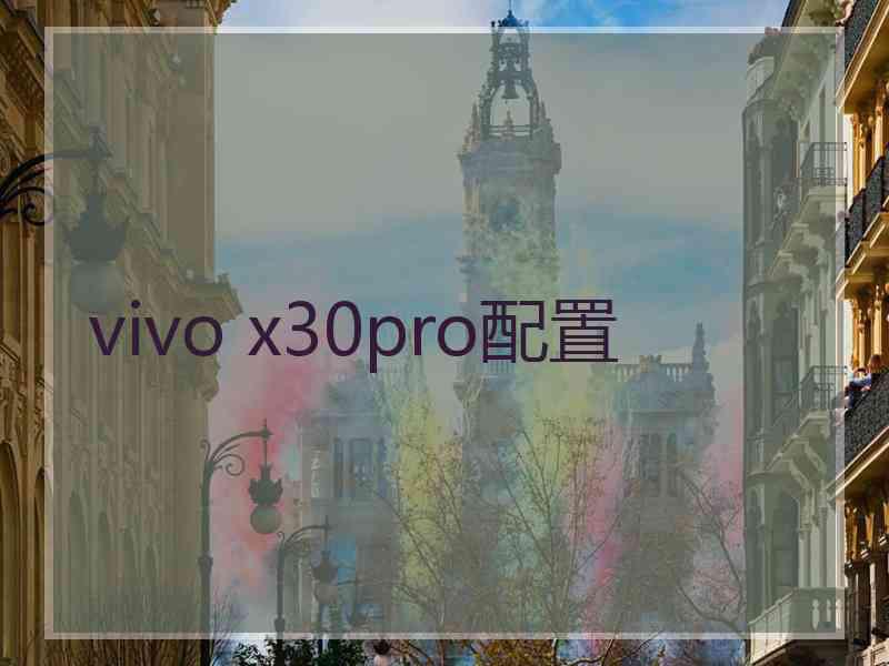 vivo x30pro配置