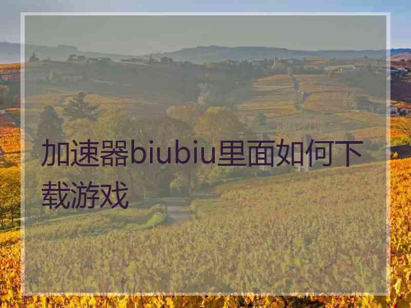 加速器biubiu里面如何下载游戏