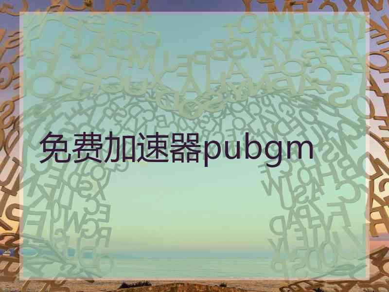 免费加速器pubgm