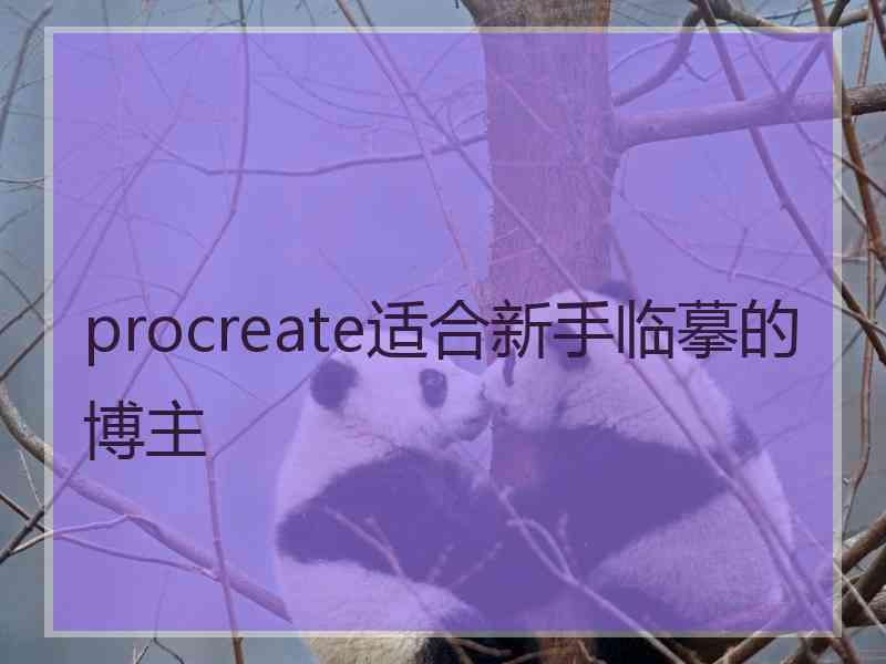 procreate适合新手临摹的博主