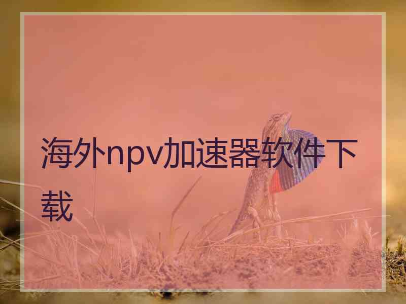 海外npv加速器软件下载