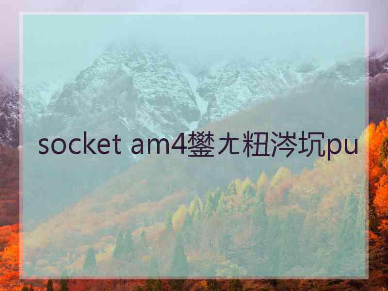 socket am4鐢ㄤ粈涔坈pu