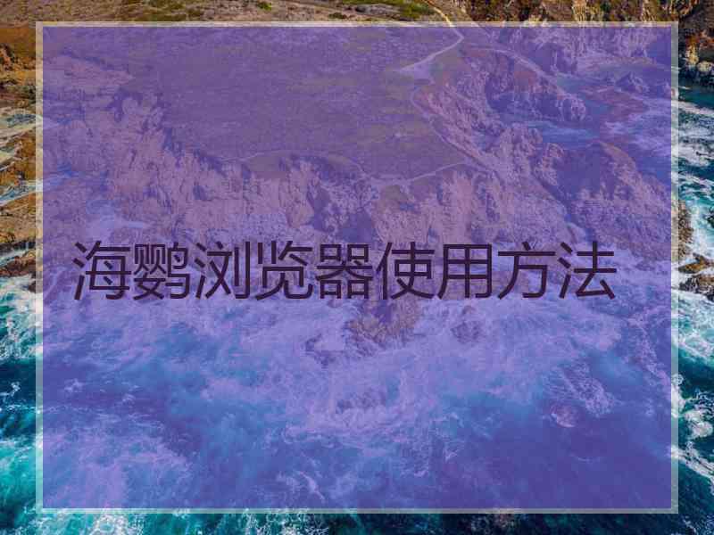 海鹦浏览器使用方法