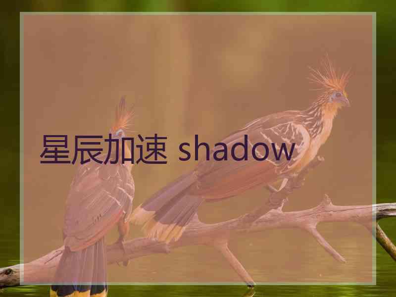 星辰加速 shadow