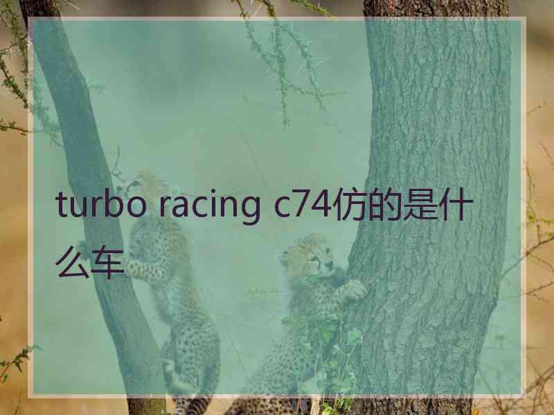 turbo racing c74仿的是什么车