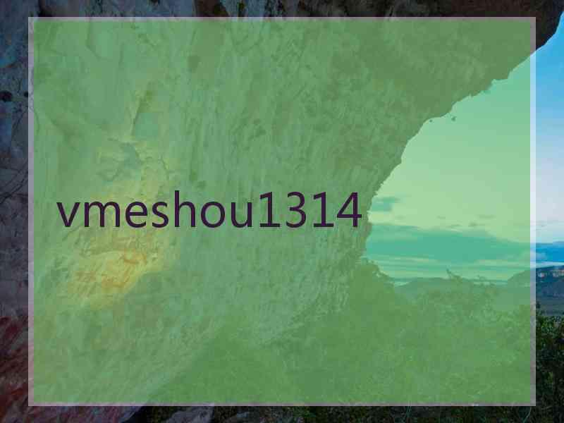 vmeshou1314