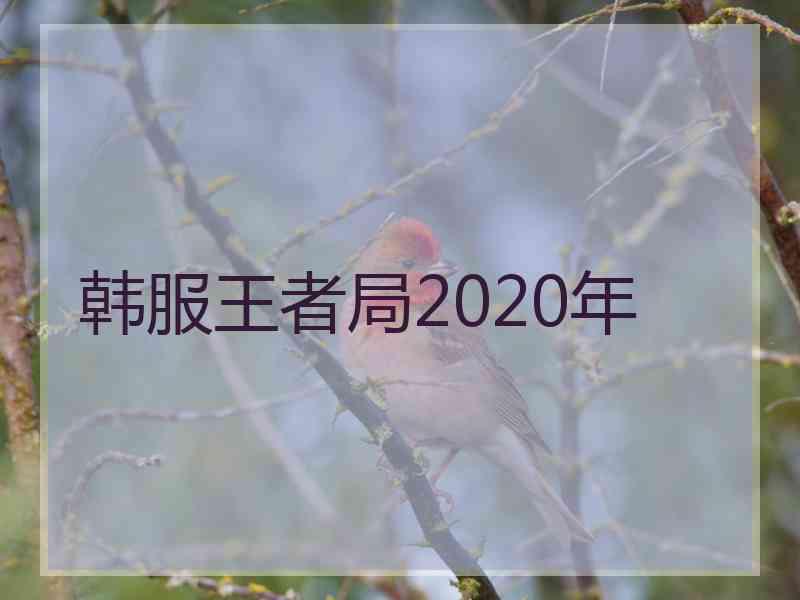 韩服王者局2020年