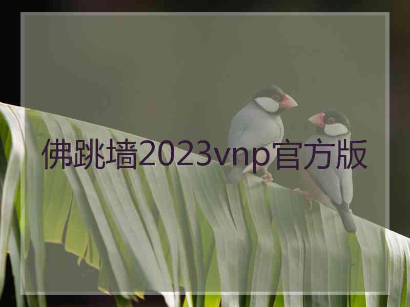 佛跳墙2023vnp官方版