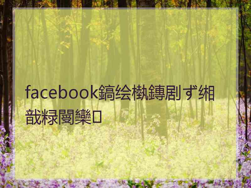 facebook鎬绘槸鏄剧ず缃戠粶閿欒