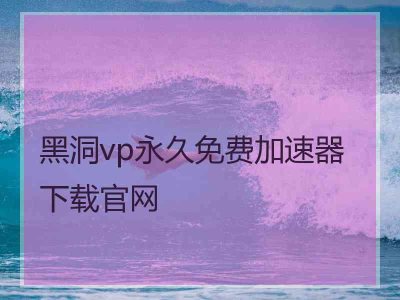 黑洞vp永久免费加速器下载官网