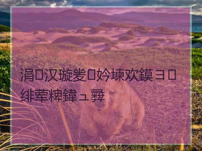 涓汉璇夎妗堜欢鏌ヨ绯荤粺鍏ュ彛