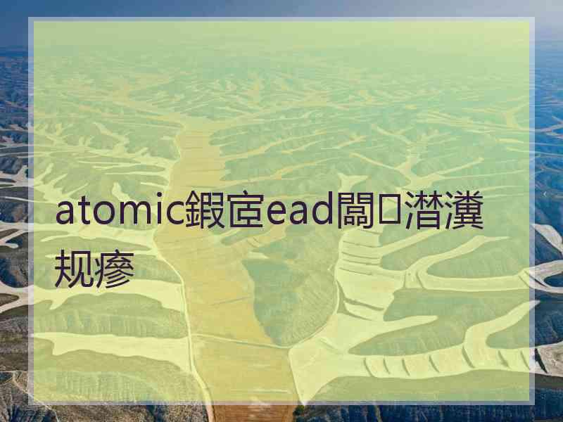 atomic鍜宧ead闆澘瀵规瘮