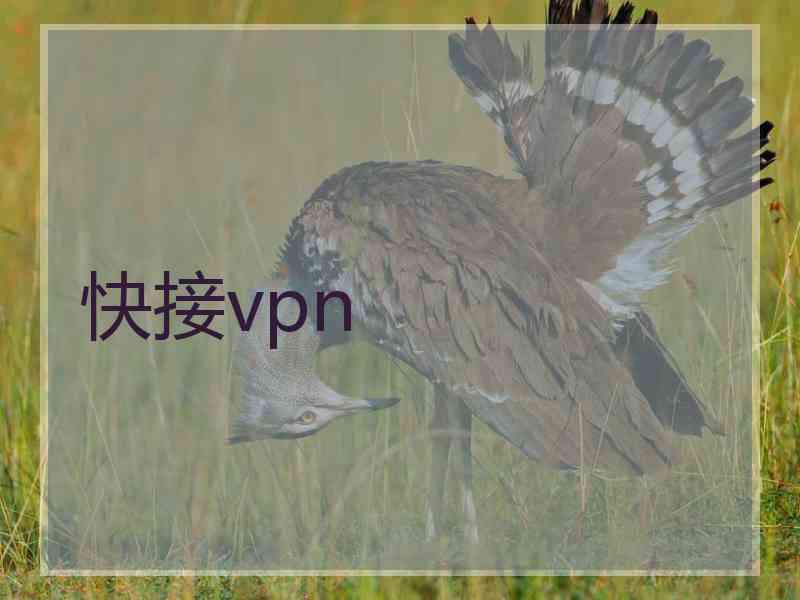 快接vpn