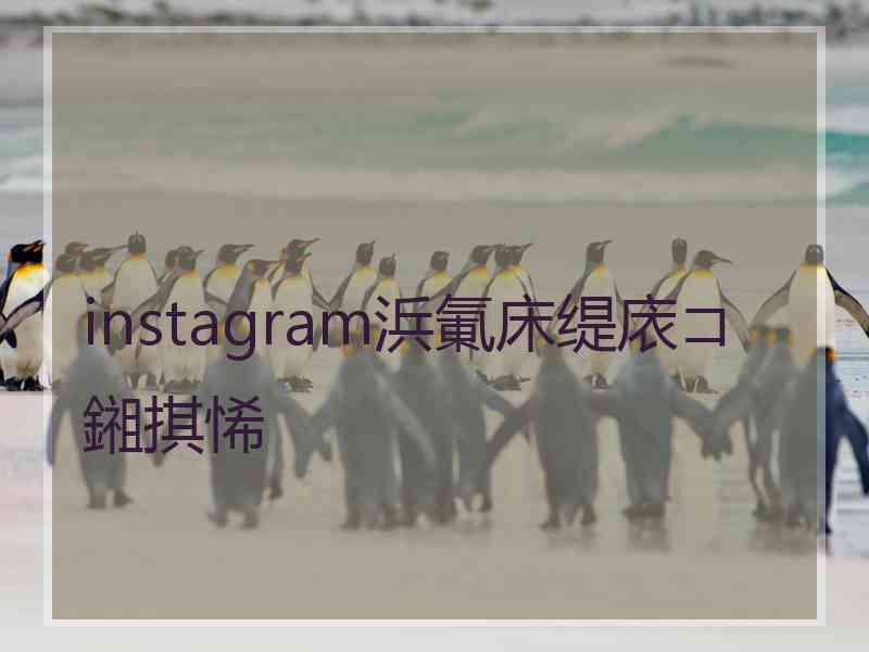 instagram浜氭床缇庡コ鎺掑悕