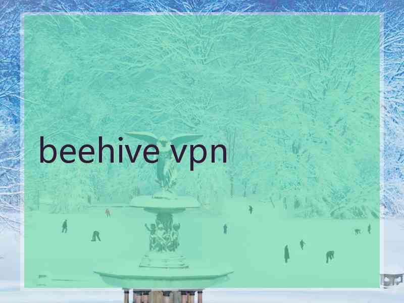 beehive vpn