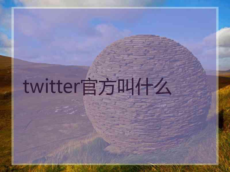 twitter官方叫什么