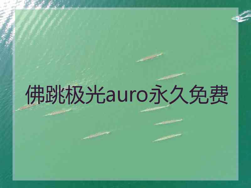 佛跳极光auro永久免费