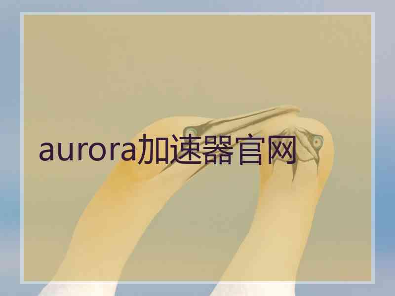 aurora加速器官网