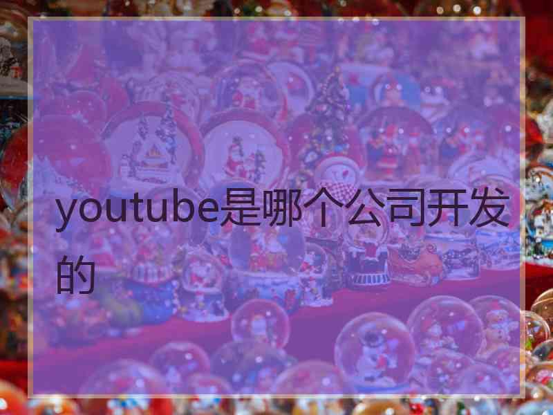 youtube是哪个公司开发的